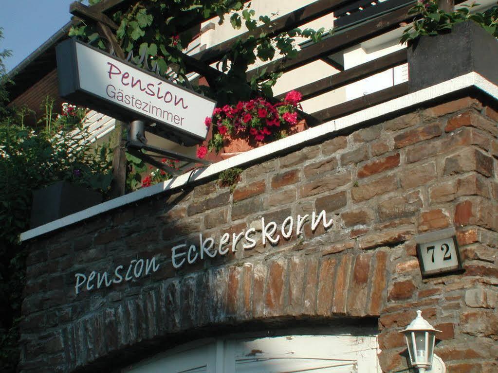 Haus Uebernachtenswert Cochem Mosel Екстер'єр фото